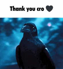 Thank You Thank You Cro GIF - Thank You Thank You Cro Team Crow GIFs