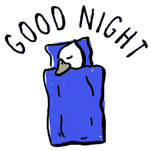 statement good night duck animal