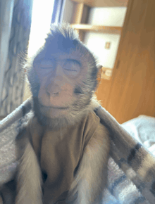 a monkey with its eyes closed is wrapped in a plaid blanket