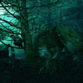 a man climbs a tree in a forest