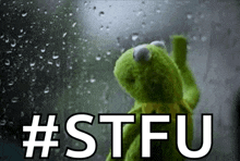 kermit the frog is standing in front of a window with rain drops and the words #stfu