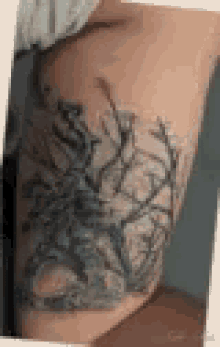 Dragon Tattoo GIF - Dragon Tattoo GIFs