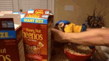 Sml Jeffy GIF - Sml Jeffy Honey Nut Cheerios GIFs