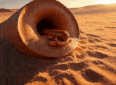 a hot dog in a sand dune with a fox logo in the corner