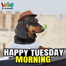 a dachshund wearing a hat and a shirt with the words happy tuesday morning below it