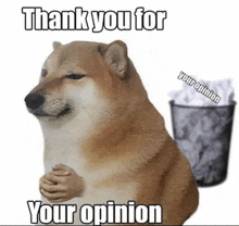 Thank You For Your Opinion GIF - Thank You For Your Opinion Trash Can GIFs