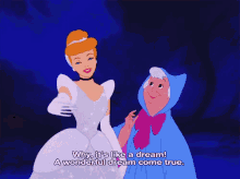 Cinderella Fairy Godmother GIF - Cinderella Fairy Godmother Its Like A Dream GIFs