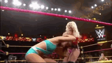 two women are wrestling in a wrestling ring with a wwe logo in the background .
