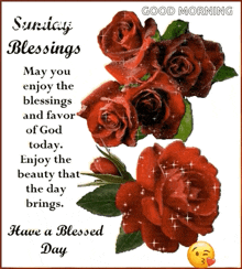 Sunday Blessings Have A Blessed Day GIF