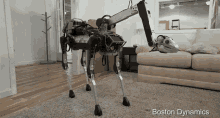 dancing dog creepy robotardog robot