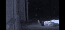 a person is laying on the floor in a dark room with a light shining on them