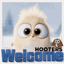 hooters battle camp welcome