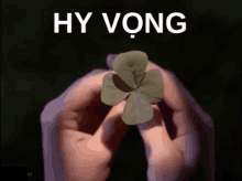 Hy Vong Co 4 La GIF - Four Leaf Clover Hy Vọng Không Từbỏ GIFs