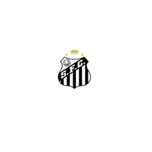 Santos Futebol Clube Santos Fc GIF