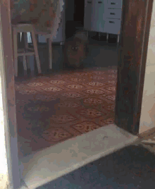 a small dog is walking through a doorway in a room