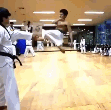 Kick Taekwondo GIF - Kick Taekwondo Training GIFs