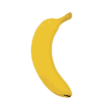 banana spin spinana
