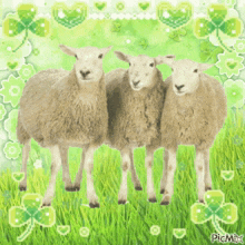 Sheep Picmix GIF - Sheep Picmix Blingee GIFs
