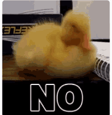 Duck No GIF - Duck No Nope GIFs