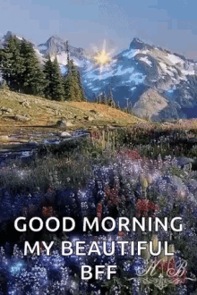 Good Morning Floral GIF - Good Morning Floral Nature GIFs