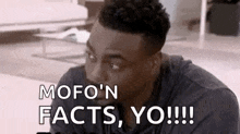 Straight Facts Fact GIF - Straight Facts Fact Yes GIFs