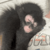 a small black monkey is laying on a person 's arm .