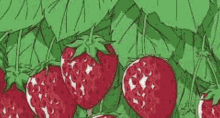 Strawberry Welcome GIF