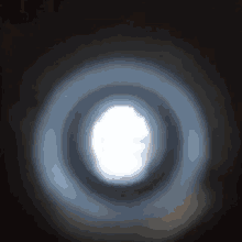 Fat Peephole GIF - Fat Peephole Door GIFs