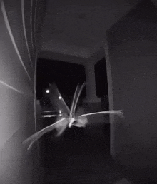 Moth Night GIF - Moth Night Meme GIFs