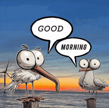 a cartoon of two seagulls with speech bubbles saying good morning