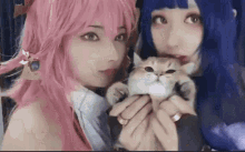 Anime Cat Girl Kiss GIF - Anime Cat Girl Kiss GIFs