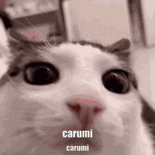 Carumi GIF - Carumi GIFs