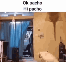 Ok Pacho GIF - Ok Pacho GIFs