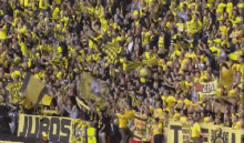 Dortmund Borussia GIF - Dortmund Fans GIFs