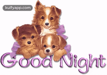 Good Night From Puppies.Gif GIF - Good night from puppies Good ...