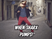 Raidsharks Sharx GIF - Raidsharks Sharx Shark GIFs