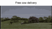 Cow Delivery GIF - Cow Delivery Ufo GIFs