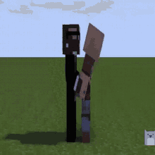 two minecraft characters standing next to each other in a field