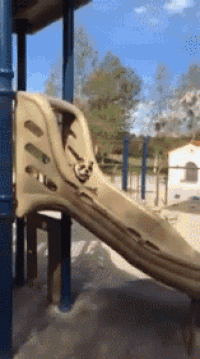 Dogs Slide GIF - Dogs Slide Playground - Discover & Share GIFs