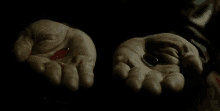 Dayquil & Nyquil GIF - Nyquil Vicks Medicine GIFs