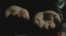 Red Pill Matrix GIF - Red Pill Matrix Nft GIFs