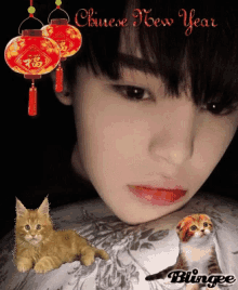 Chinese New Year Cute GIF - Chinese New Year Cute Cats GIFs