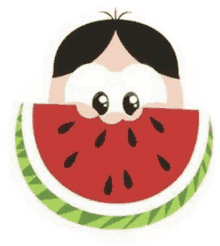 fruit watermelon