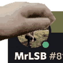 infusesmp mrlsb