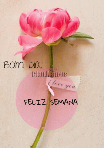 Feliz Semana Bom Dia GIF - Feliz Semana Bom Dia Good Day - Discover & Share GIFs Feliz Semana Bom Dia GIF - Feliz Semana Bom Dia Good Day - Discover & Share GIFs