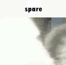 Spare Cat GIF - Spare Cat Speed GIFs