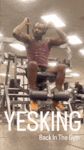 a man is sitting on a machine with the words yesking back in the gym on the bottom