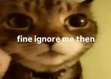 a close up of a cat 's face with the words fine ignore me then written on it .