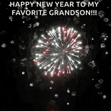 a fireworks display with the words `` happy new year to my favorite grandson '' .