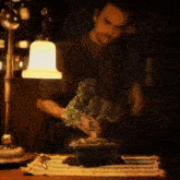 a man is working on a bonsai tree under a light